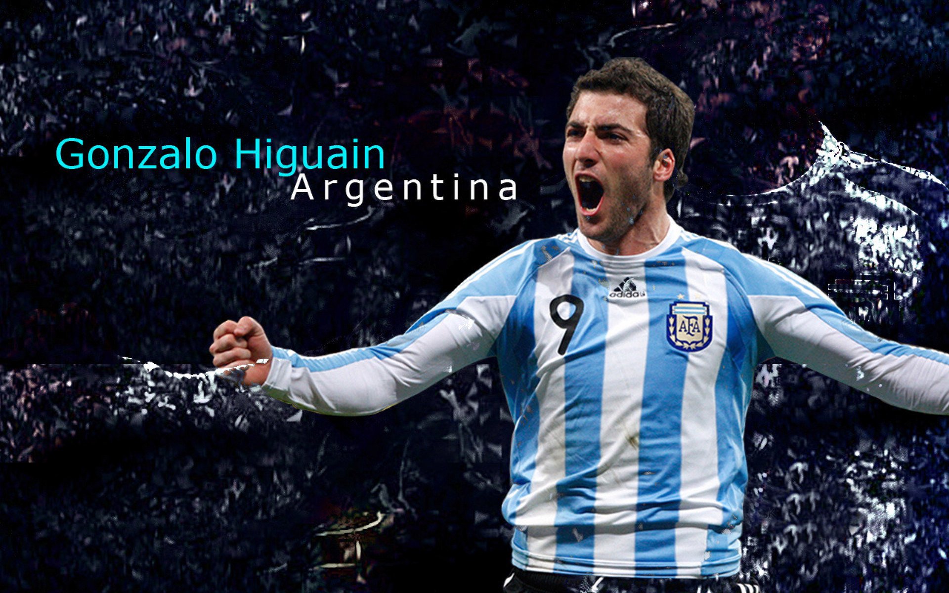 “马丁·高尔西的全能表现，阿根廷美洲狮队的防守中坚”